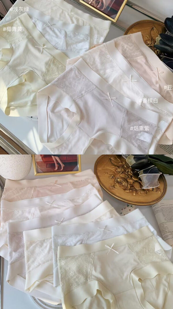 A02 莫代尔棉养护内裤 - Image 2