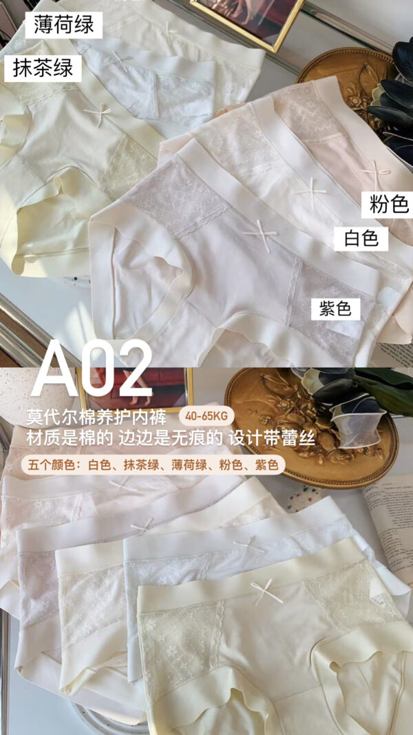 A02 莫代尔棉养护内裤 - Image 3